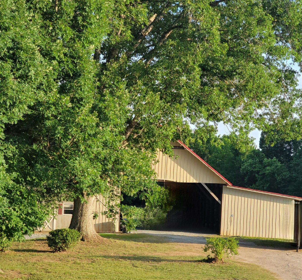 Front view of barn in summer